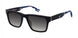 Champion CUELIAS Sunglasses