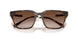 821313 - Tortoise - Gradient Brown