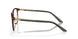 802802 - Tortoise