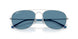 003/S2 - Silver - Polarized Blue
