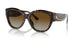 702/T5 - Tortoise - Brown Gradient Polarized