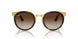 001/13 - Tortoise - Brown