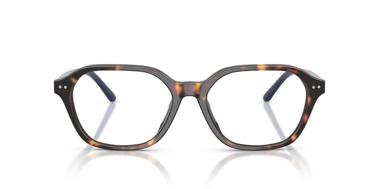 5003 - Tortoise