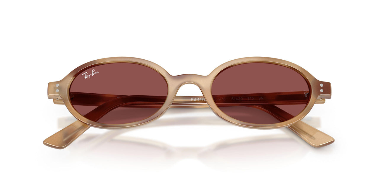 685675 - Tortoise - Dark Violet