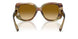 34462L - Brown - Light Yellow Gradient Light Brown