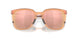 948004 - Brown - Prizm Rose Gold Polarized