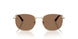 300673 - Gold - Dark Brown