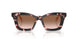 623013 - Tortoise - Brown Gradient