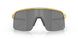 946347 - Gold - Prizm Black
