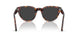 24/48 - Tortoise - Polar Dark Grey