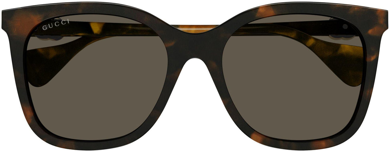002 - Havana - Brown