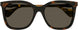 002 - Havana - Brown
