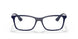8100 - Blue