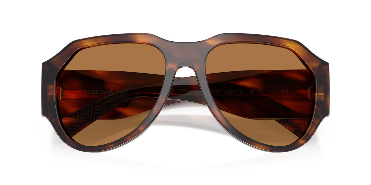 306373 - Tortoise - Bronze