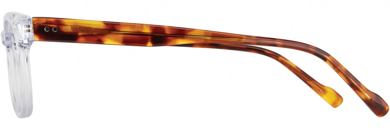 3 - Crystal / Amber Tortoise