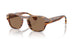 002/83 - Brown - Polar Brown
