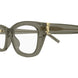 005 - Brown - Transparent