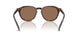 613773 - Tortoise - Dark Brown