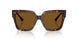 500283 - Tortoise - Polarized Brown