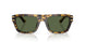 333071 - Tortoise - Dark Green