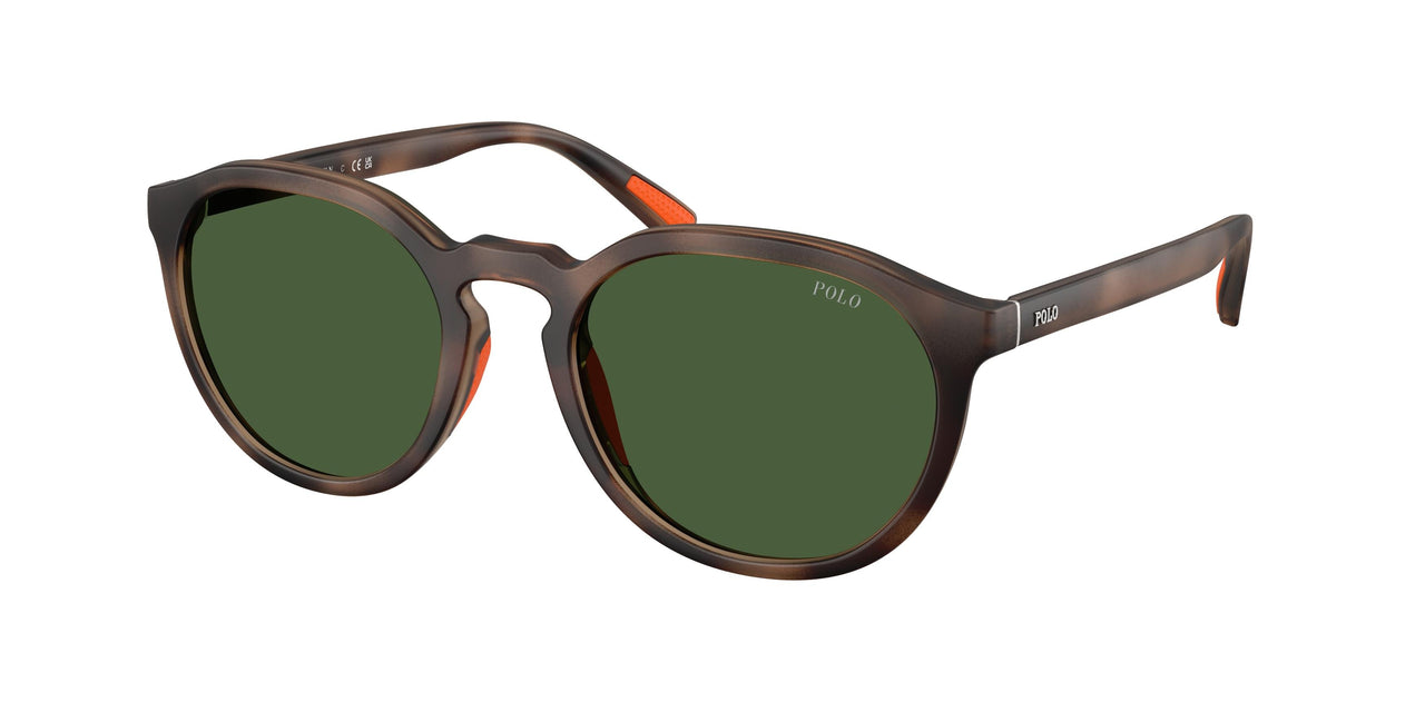 Polo 4232U Sunglasses