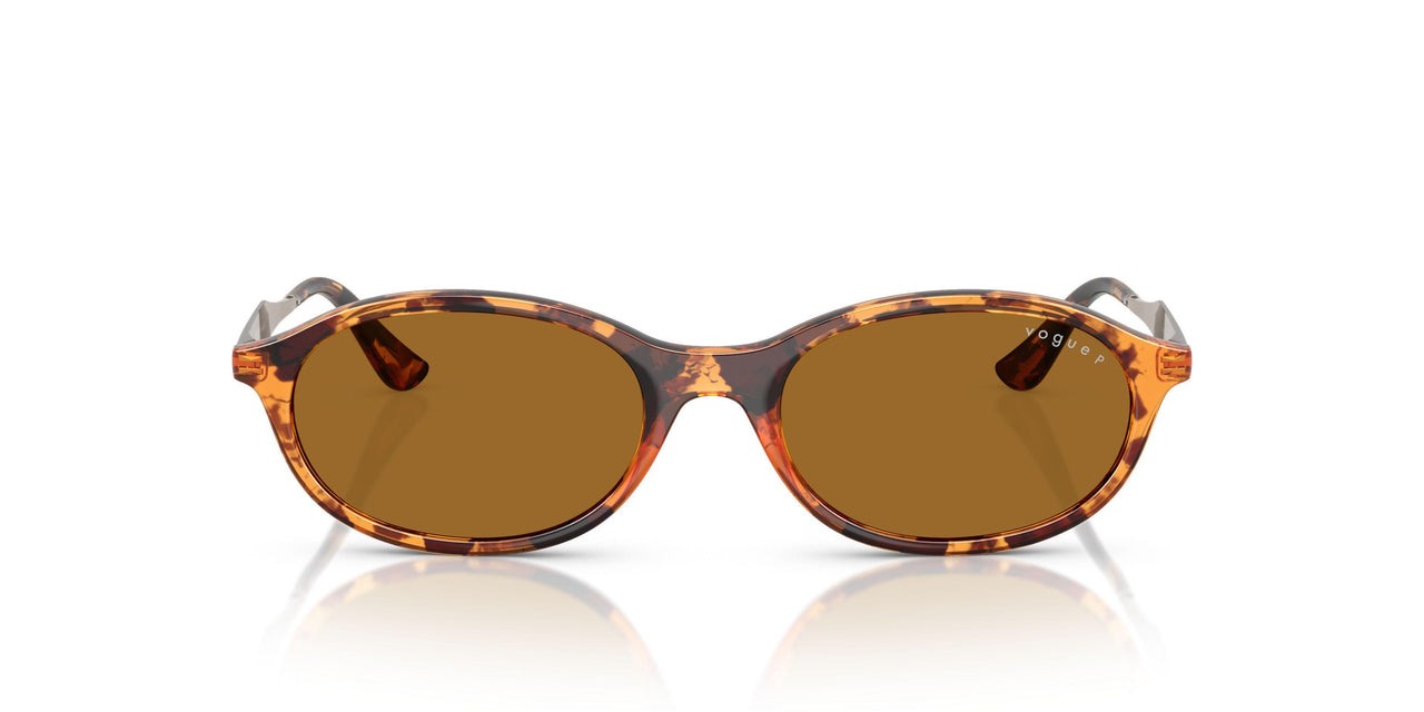 320083 - Tortoise - Bronze Polar