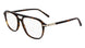 Salvatore Ferragamo SF3006 Eyeglasses