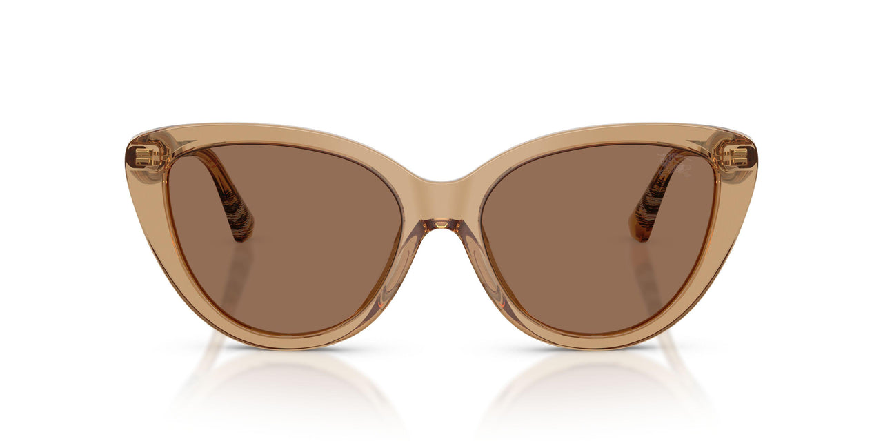 416473 - Beige - Dark Brown