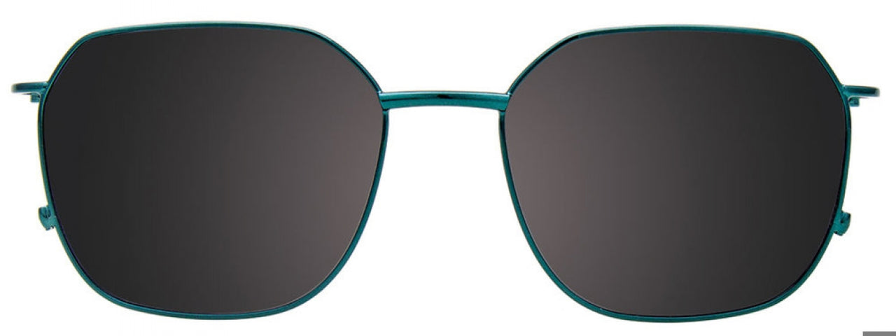 60 - Green Tortoise & Green