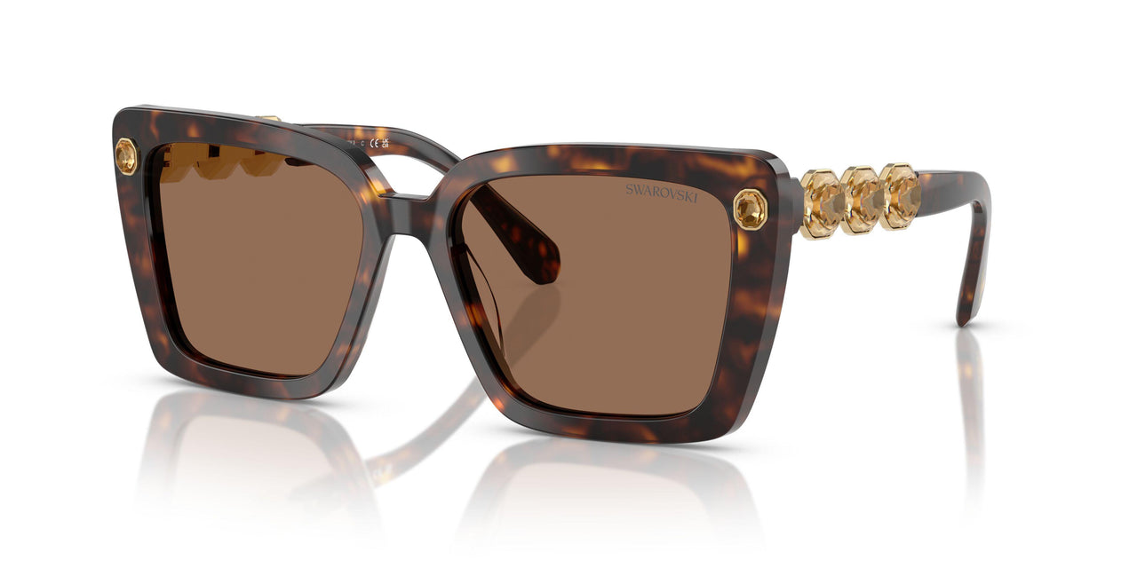 100273 - Tortoise - Dark Brown