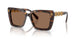 100273 - Tortoise - Dark Brown