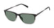 Ted Baker TMS204 Eyeglasses