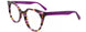 Paradox P5092 Eyeglasses