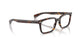 2012 - Tortoise
