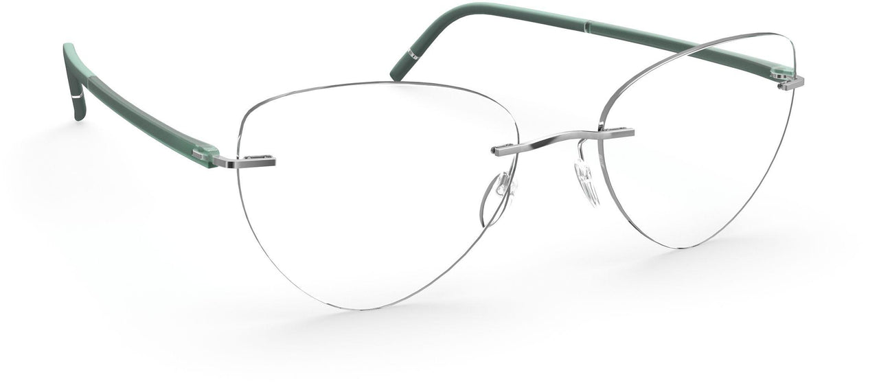 7110 - silver