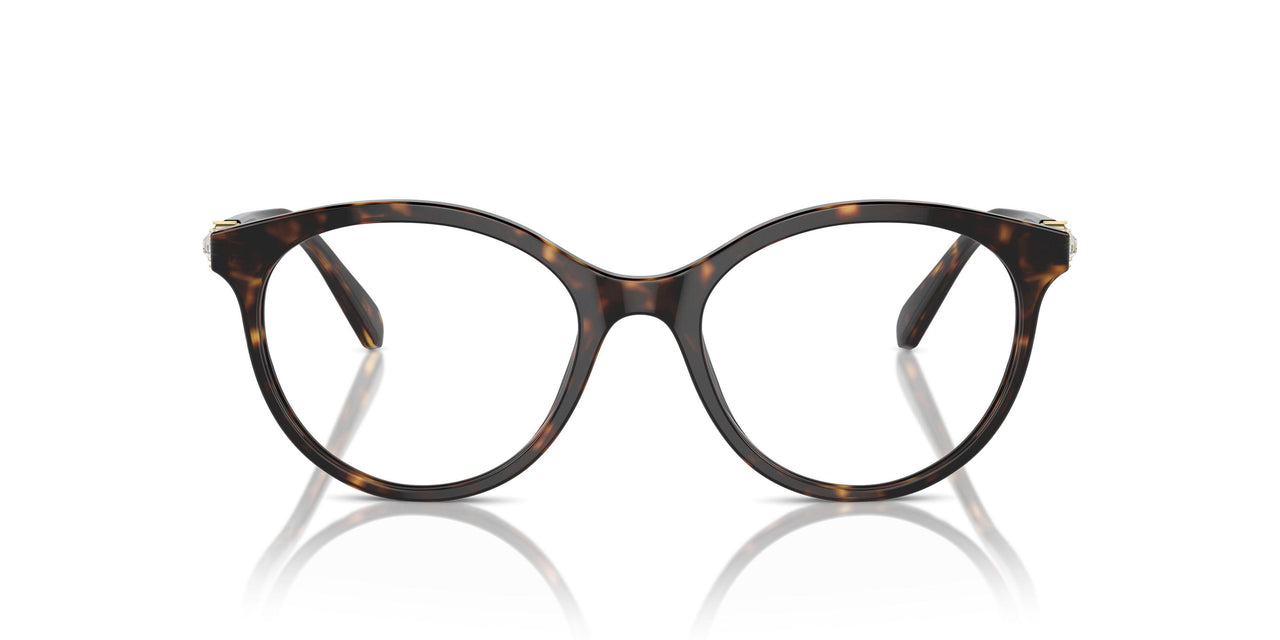 1002 - Brown