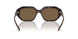 W65673 - Brown - Dark Brown