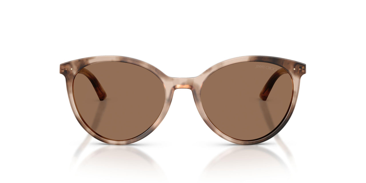 509773 - Tortoise - Dark Brown