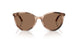509773 - Tortoise - Dark Brown