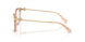 5561 - Brown