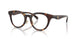 5120 - Tortoise