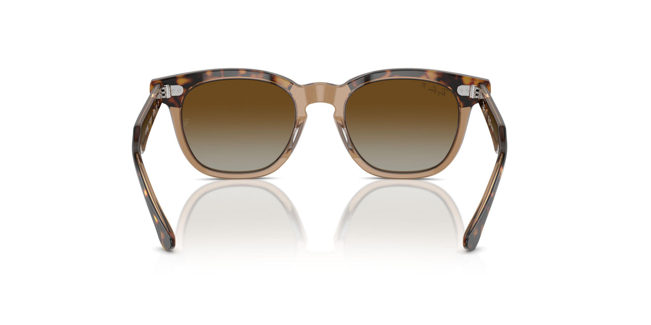 7152T5 - Brown - Brown