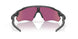 920852 - Polished Black - Prizm Black