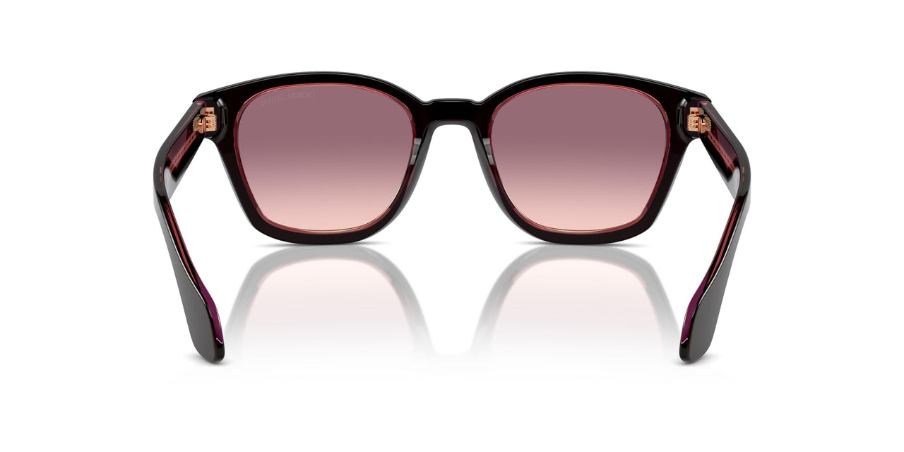 60888D - Brown - Pink Gradient Violet