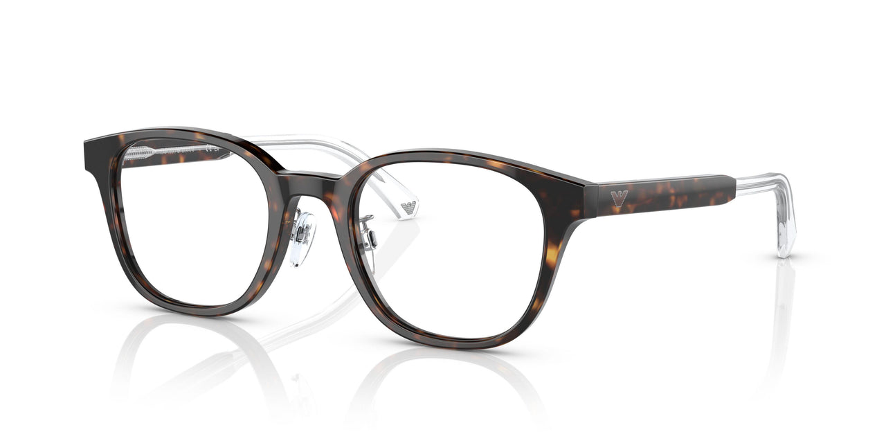 5026 - Tortoise
