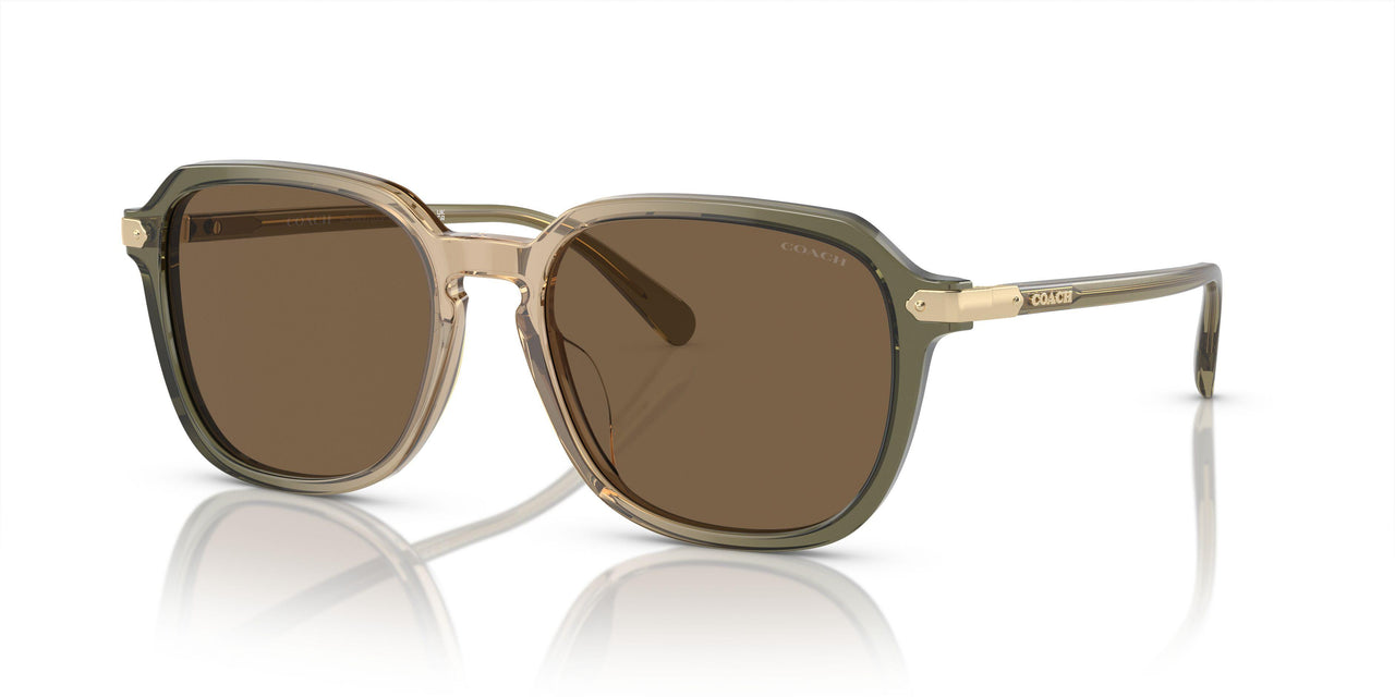 579773 - Transparent Green Tan Gradient - Brown Solid