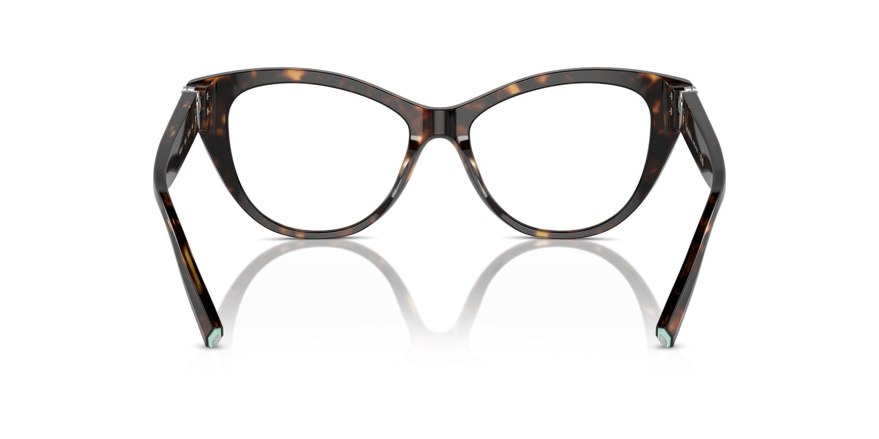 8015 - Tortoise