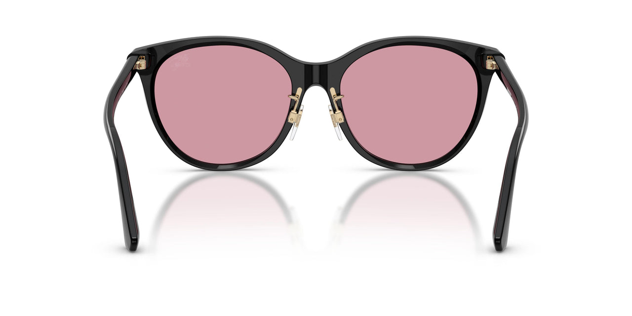 300130 - Black - Rosa Specchio Argento
