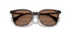 300273 - Tortoise - Solid Brown
