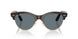 990/3R - Havana - Dark Blue Polar